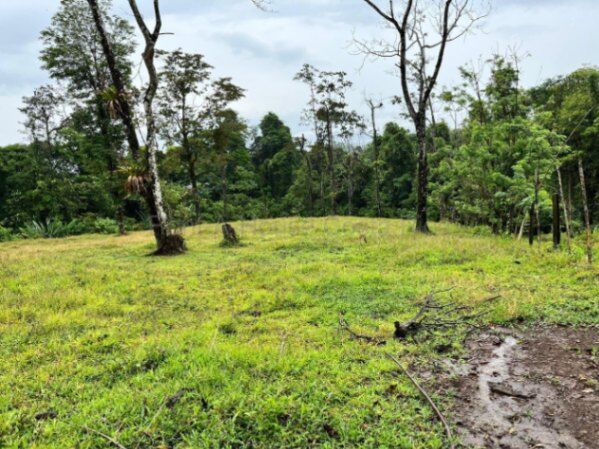 Venta finca amplia con potencial agrícola o turístico en entorno natural #26-1801 GS en Peñas Blancas, San Ramón, Alajuela — $200,000