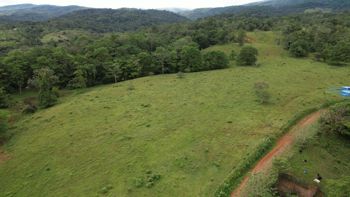 Finca en San Rafael de Guatuso en San Rafael, Guatuso, Alajuela — 392 400 000 ₡ - Foto 4 de 13