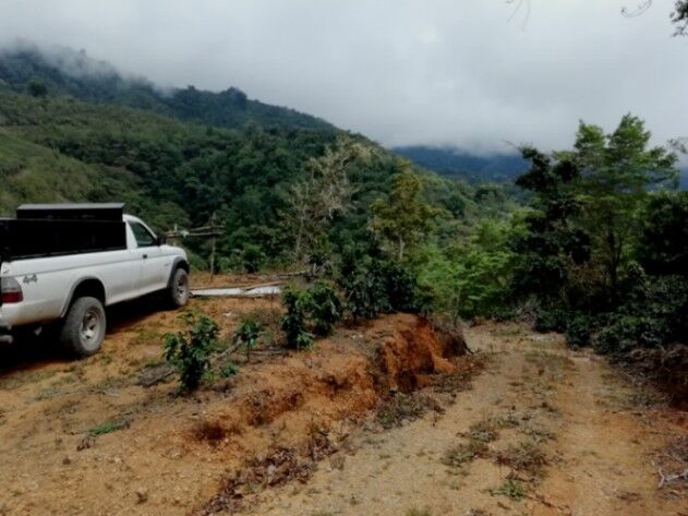 FINCA DE CAFÉ DE 4 HA en Santa María, Dota, San José — ₡ 110 000 000