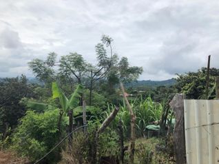 Lote en La Puebla, Atenas, 2646 m2 pro 125000 $ en Atenas, Alajuela — $125,000 - Foto 5 de 12