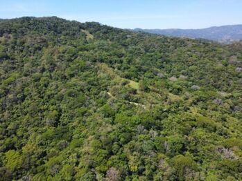 Se vende amplia finca de 36 hectáreas en Ciudad Colon 25-1322 en Colón, Mora, San José — $5,500,000 - Foto 4 de 13