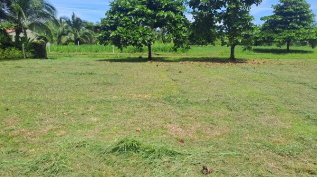 Venta de 2 Lotes en Osa en Puerto Cortés, Osa, Puntarenas — ₡ 9 000 000