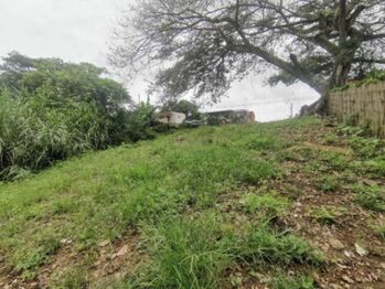 Se vende amplio lote con mas de 6,700m2 en San Ramon Alajuela 24-1765 en San Ramón, Alajuela — $1,500,000 - Foto 5 de 10