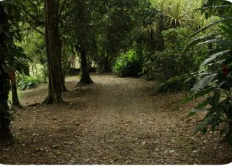 Venta de quinta en Horquetas de Sarapiquí en Las Horquetas, Sarapiquí, Heredia — ₡ 70 000 000 - Foto 3 de 21