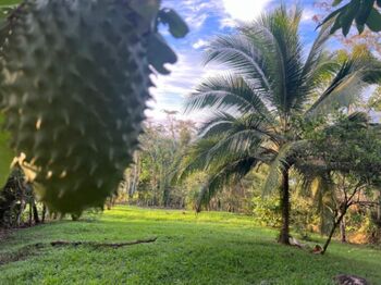 ¡Oportunidad única! Se vende lote de 1,000 m² en Florencia en Florencia, San Carlos, Alajuela — 18 000 000 ₡ - Foto 4 de 19