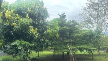 ¡Oportunidad de Inversión en Potrero Grande, Buenos Aires, Puntarenas, Costa Rica  en Potrero Grande, Buenos Aires, Puntarenas — $325,000 - Foto 4 de 34