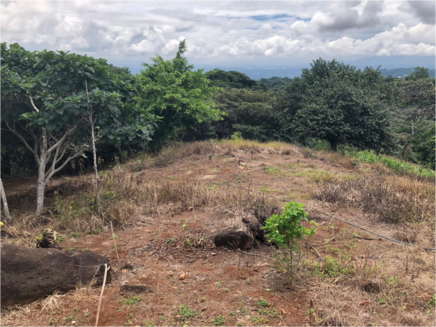 Lote en La Puebla, Atenas, 2646 m2 pro 125000 $ in Atenas, Alajuela — $125,000