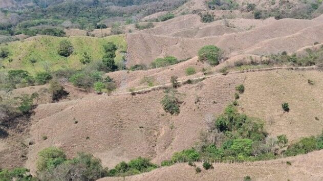 Gran oportunidad en Puntarenas: Finca de 66.7 hectáreas con alto potencial agrícola y ganadero in Lepanto, Puntarenas — ₡ 234 000 000