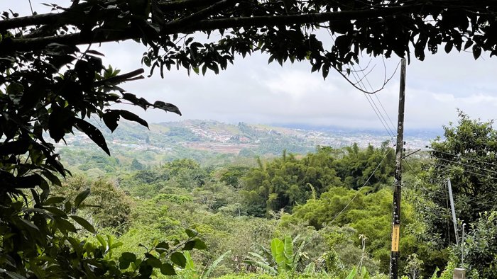 SE VENDE FINCA EN SAN RAFAEL, SAN RAMON in San Ramón, Alajuela — $207,000 - Photo 2 of 23