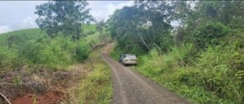 SE VENDE BELLA Y ÚTIL FINCA GANADERA.  en Jacó, Garabito, Puntarenas — 120 000 000 ₡ - Foto 5 de 18