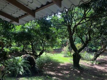 Se vende propiedad de 5,300m2 de lote en La Garita Alajuela 25-1298 en Garita, Alajuela — $699,000 - Foto 4 de 14