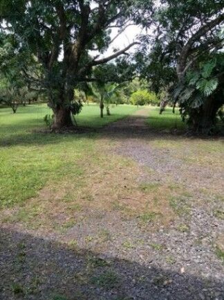 Se vende amplia quinta de 1 hectárea en Orotina Alajuela 25-69 in Orotina, Alajuela — $1,655,000