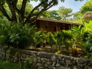 Finca Productiva de 38.5 Hectáreas en Venta en Vainilla de Tambor in Cóbano, Puntarenas — $650,000 - Photo 5 of 6