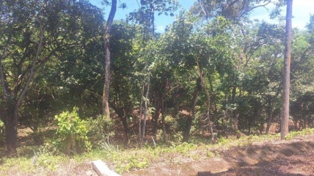 Venta de hermoso lote de 5023 M2 ubicado en Orotina 26-90 in Orotina, Alajuela — ₡ 50 000 000