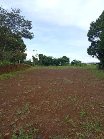 VENTA DE LOTE SAN RAFAEL DE GRECIA  in Grecia, Alajuela — ₡ 50 000 000