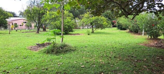 LOTE EN OROTINA PARA QUINTA in Orotina, Alajuela — ₡ 50 000 000