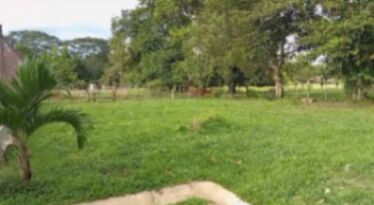 Ultimo lote de 526m2 a solo 1,2km del centro de La Fortuna de S.C en La Fortuna, San Carlos, Alajuela — ₡ 40 000 000