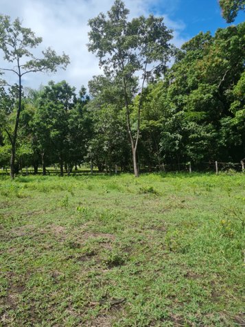 VENTA LOTE, GUANACASTE,BAGACES in Bagaces, Guanacaste — $186,000 - Photo 2 of 14