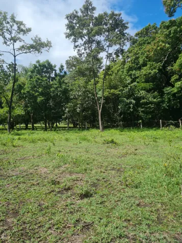 VENTA LOTE, GUANACASTE,BAGACES en Bagaces, Guanacaste — $186,000 - Foto 2 de 14