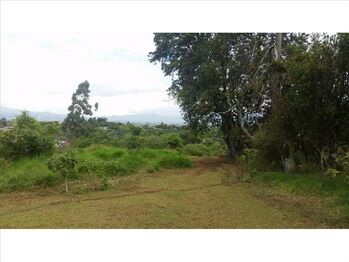 VENTA DE FINCA, HEREDIA, SAN ISIDRO in San Isidro, Heredia — $767,000 - Photo 5 of 8