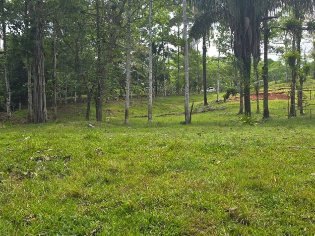 GRAN FINCA GANADERA DE 225,5 HECTÁREAS EN COSTA RICA in San José, Atenas, Alajuela — ₡ 3 800 000 - Photo 3 of 13