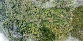 Finca de 594 Hectáreas en Venta Pérez Zeledón Conservación Bosque en La Amistad, Pérez Zeledón, San José — $4,950,400 - Foto 4 de 13