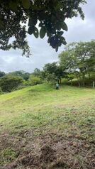 Land For Sale Tempate, Santa Cruz, Guanacaste