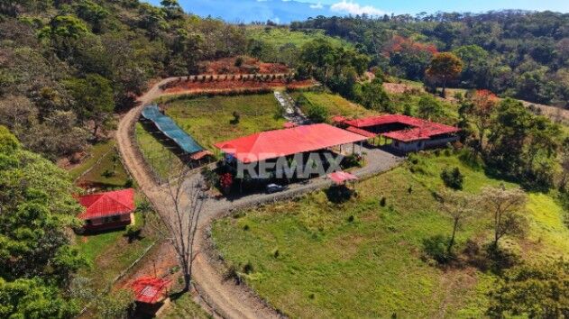 RANCHO Y FINCA ECUESTRE EN VENTA EN PACUAR, PÉREZ ZELEDÓN – 16 HECTÁREAS en Daniel Flores, Pérez Zeledón, San José — $639,999