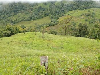 VENTA DE FINCA EN SAN MARCOS DE BARÚ, PÉREZ ZELEDÓN in Barú, Pérez Zeledón, San José — $432,000 - Photo 4 of 9