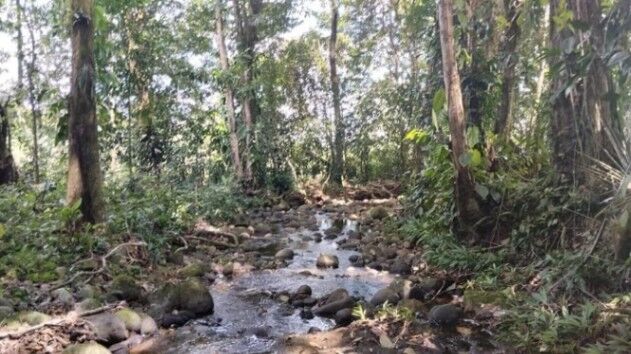 LOTE EN VENTA, HEREDIA SARAPIQUI $176.000 COD#25-1428 in Las Horquetas, Sarapiquí, Heredia — $176,000