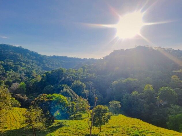 6.49 acres lot opportunity to invest in costa rica en Puerto Cortés, Osa, Puntarenas — $149,000