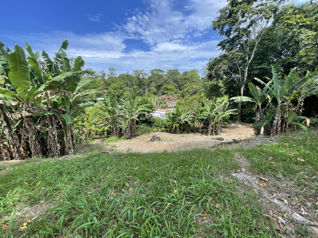 OPORTUNIDAD! LOTE SOBRE RUTA 36 EN COMADRE DE CAHUITA DE LIMON en Cahuita, Talamanca, Limón — 30 000 000 ₡ - Foto 4 de 25