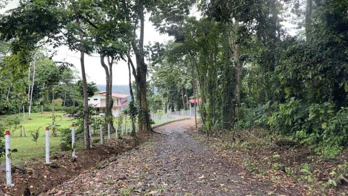 REBAJADA! FINCA PRECIO DE REMATE ALTOS DE SIQUIRRES, EXCELENTE VISTA en Siquirres, Limón — ₡ 37 500 000