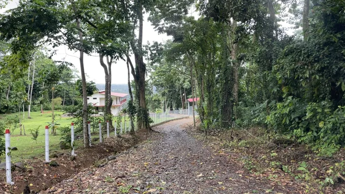 REBAJADA! FINCA PRECIO DE REMATE ALTOS DE SIQUIRRES, EXCELENTE VISTA en Siquirres, Limón — ₡ 37 500 000