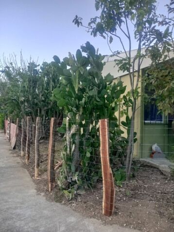 Casa de habitación esquinera in Tamarindo, Santa Cruz, Guanacaste — ₡ 40 000 000