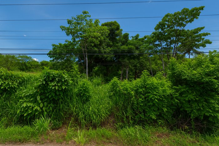 Lote en Venta | Frente a Calle Principal en 27 de Abril, Santa Cruz en Tamarindo, Santa Cruz, Guanacaste — $38,000 - Foto 3 de 5