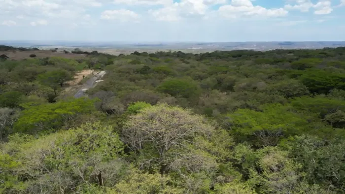 Terreno en venta en Liberia, Guanacaste in Nacascolo, Liberia, Guanacaste — ₡ 162 500 000 - Photo 2 of 14