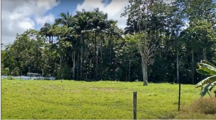 Venta de terreno en Westfalia, Limón en Matama, Limón — $2,000,000