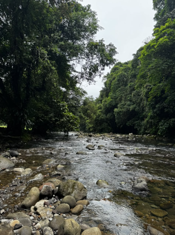 Farm with Beautiful River in Pocora, Guácimo, Limón — ₡ 140 000 000 - Photo 2 of 10