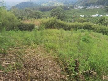 Venta | Terreno de 4.759 m² sobre carretera principal en Orosi, Cartago #26-2282 GS en Orosi, Paraíso, Cartago — $144,740 - Foto 5 de 5