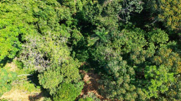 VENTA DE TERRENO DE 1.8 HECTAREAS EN QUIZARRA LISTO PARA CONSTRUIR  in El General, Pérez Zeledón, San José — $139,900