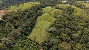 SE VENDE FINCA CON TOPOGRAFIA PLANA Y POTENCIAL AGRICOLA EN PEREZ ZELEDON en San Pedro, Pérez Zeledón, San José — ₡ 28 000 000 - Foto 4 de 12