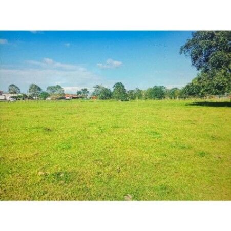 VENTA DE LOTE, ALAJUELA, SAN CARLOS, FLORENCIA, MUELLE  en Florencia, San Carlos, Alajuela — ₡ 215 000 000
