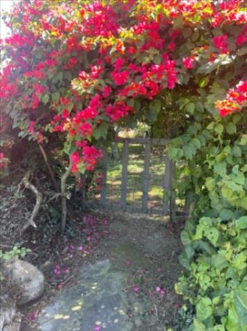 Venta de lote en Guayabos de Curridabat in Curridabat, San José — $180,000
