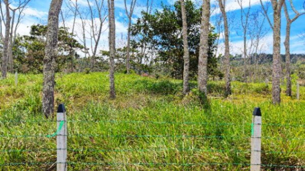SE VENDE LOTE PREMIUM CON AREA PLANA Y QUEBRADA EN SANTA ROSA en Río Nuevo, Pérez Zeledón, San José — $55,999