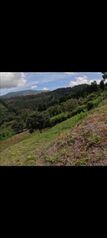 Lote en San Luis de Grecia  in Bolívar, Grecia, Alajuela — 30 000 000 ₡ - Photo 5 of 12