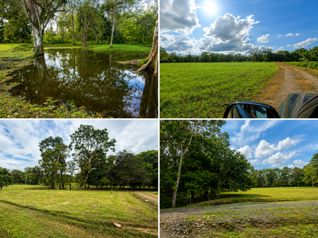 🔥VENTA DE LAS ÚLTIMAS 4 QUINTAS EN SAN CARLOS | FLORENCIA en Florencia, San Carlos, Alajuela — 60 000 000 ₡ - Foto 2 de 9