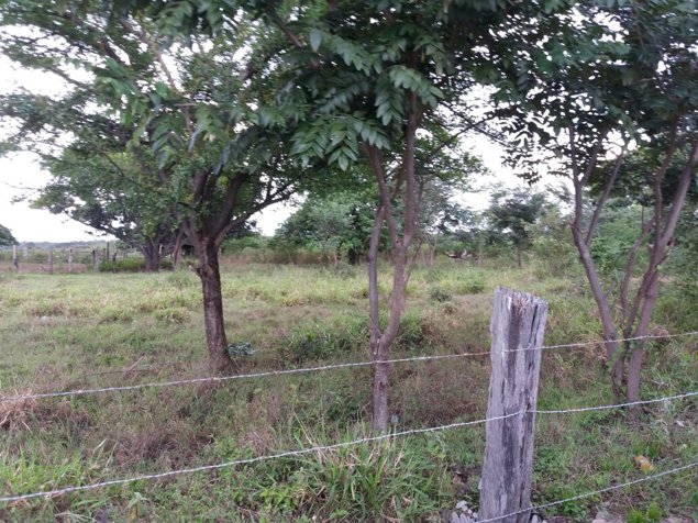 Finca 130 Ha a 30 Minutos del Aeropuerto Liberia en Liberia, Guanacaste — $1,550,000