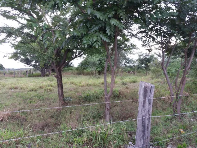 Finca 130 Ha a 30 Minutos del Aeropuerto Liberia en Liberia, Guanacaste — $1,550,000
