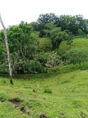 VENTA DE FINCA in San Jorge, Los Chiles, Alajuela — 80 000 000 ₡ - Photo 4 of 7